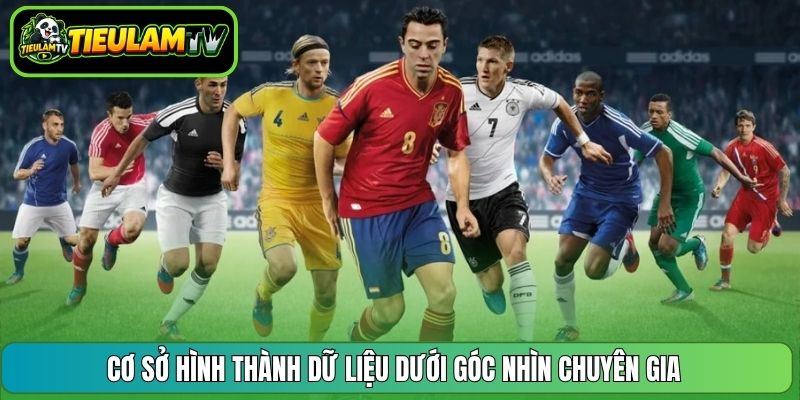 Cơ sở hình thành dữ liệu dưới góc nhìn chuyên gia