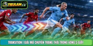 Transition | Giải Mã Chuyển Trạng Thái Trong Vòng 5 Giây